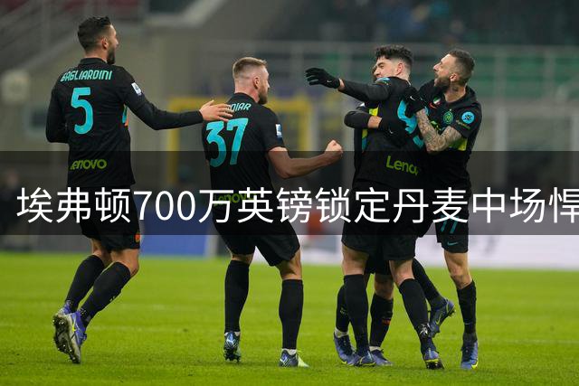 埃弗顿700万英镑锁定丹麦中场悍将，诺尔高签约两年