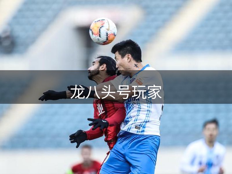 网站介绍